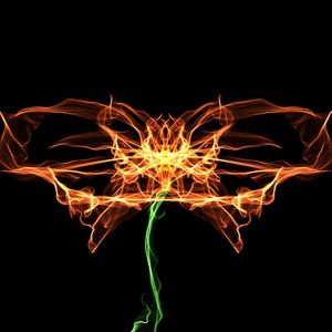 Meet your Posher, Yana